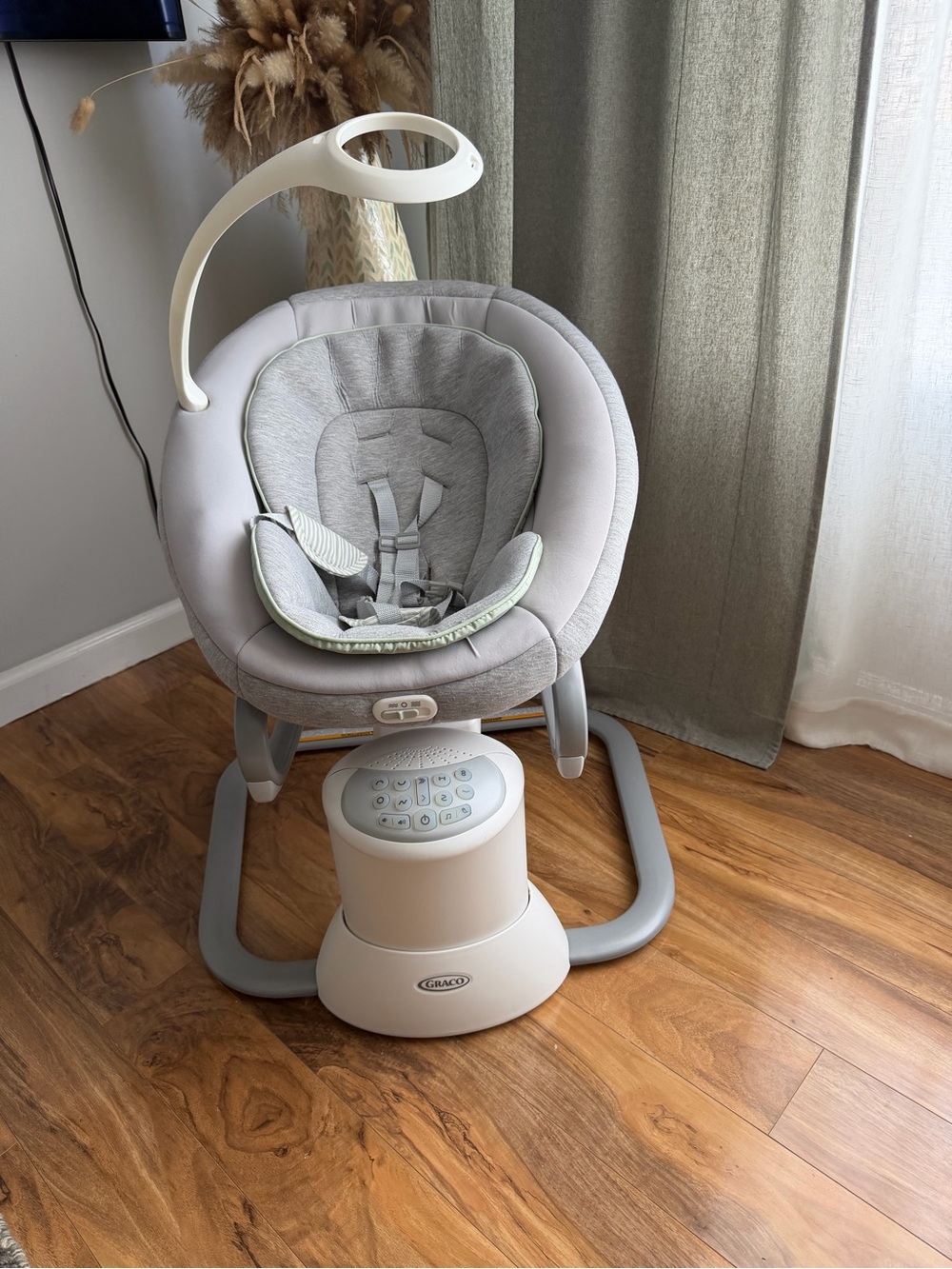 Graco Infant Swing